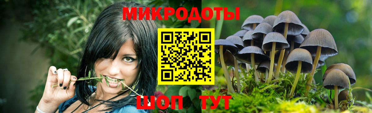 Гулькевичи  Псилоцибиновые грибы Psilocybine cubensis  Вход с VPN 